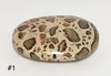 Leopard Skin Jasper - Palm Stone (Peru, 2-1/2")