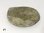 Ammonite - Semi Polished (Morocco, 2-3/4")