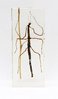 Stick Bug - Real & Incased in Lucite (Large)